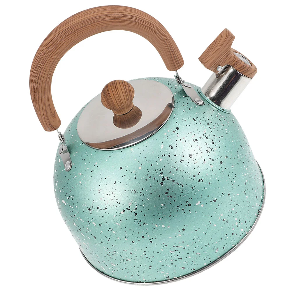 

Stainless Steel Flat Bottom Kettle Whistle Large Capacity (3l Green) Tea with Mini Heater Wood Baby Heaters for Home