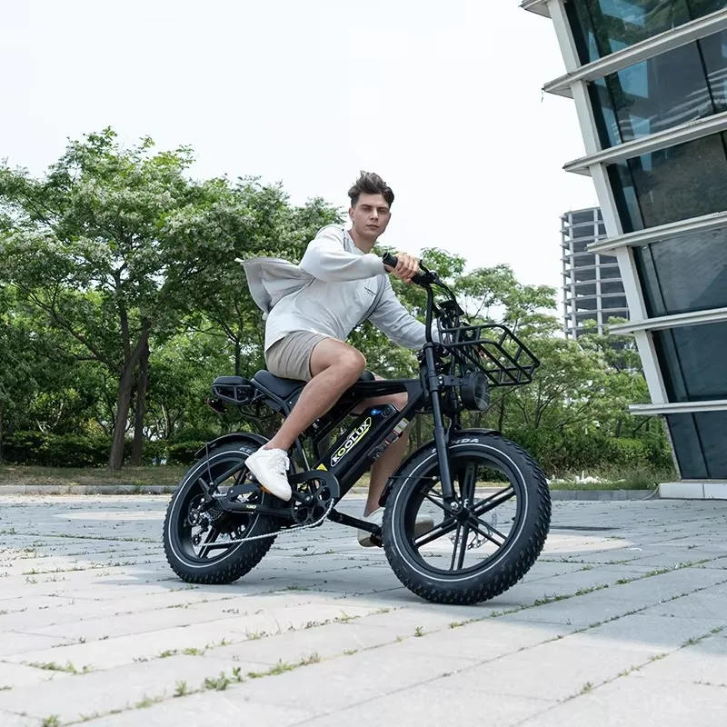 

Custom X9 Electric Mountain Fat Tire E-Bike Adults 48V 15.6ah Disc Brake 7-Speed High-Speed