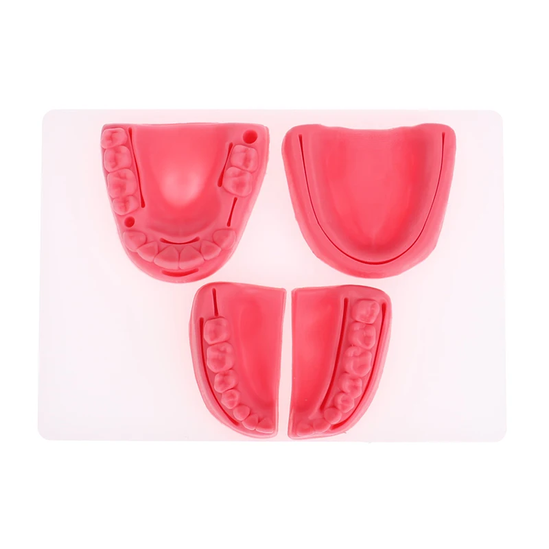 4-teiliges Dental-Simulationsmodell für Mundnaht, Zahnfleisch-Naht-Trainingsausrüstung – Detail 4