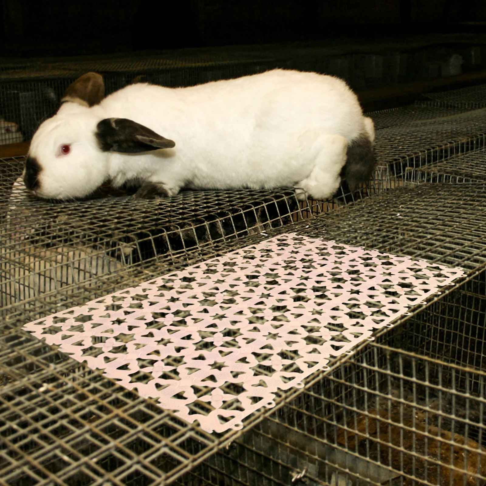 

10pcs Rabbit Cage Mat Floor Plastic Bunny Resting Pad With Hole Durable For Chinchilla Ferret Small Animals Litter Box Tray
