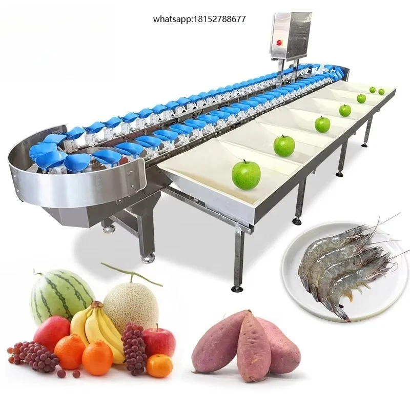 Orange Grader Fruit Automatic Potato  Mango Sort Equipment Shrimp  Fish Sorting Machine and Grading by Weight