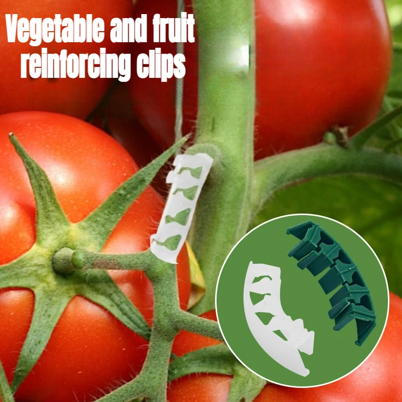 30Pcs Plant Bender Plastic Tomato Fruit Stem Clip for Securing Fruit Clusters, Anti-Bending Branch Support and Seedling