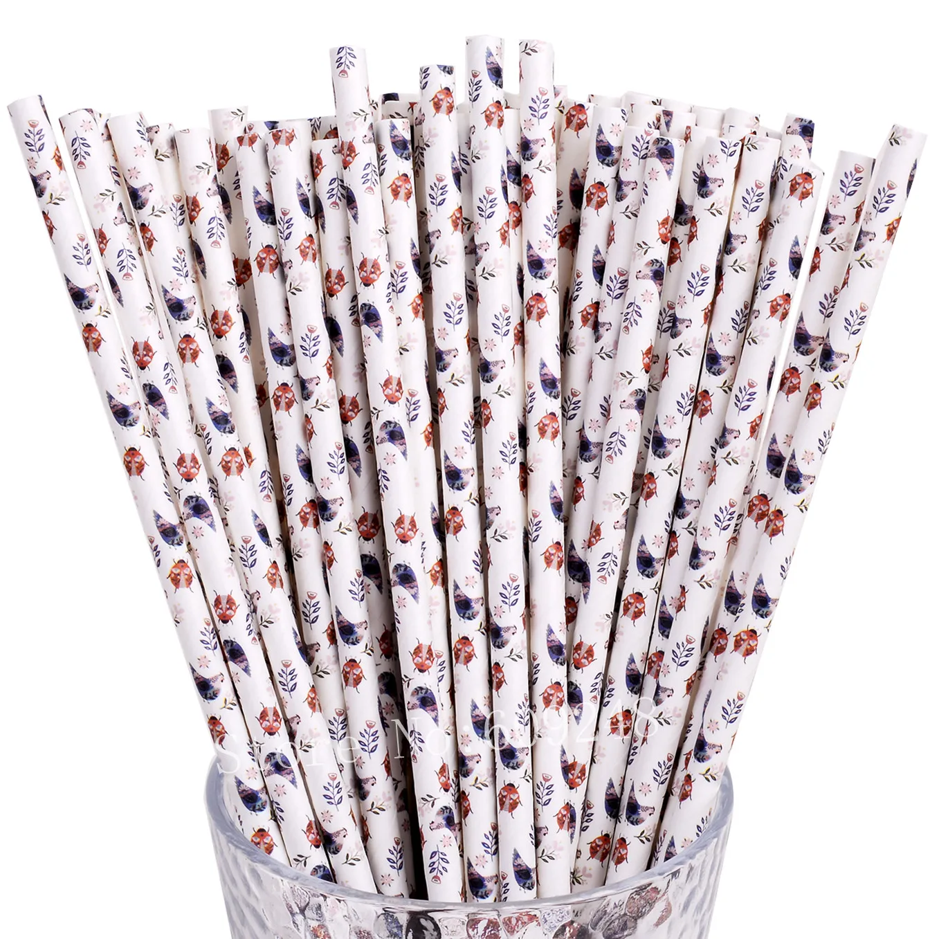 Watercolor Bird Hen Floral Ladybug Paper Straws,Kids Colored Drinking Straw,Purple,Pink,Red Flower,Outdoor Garden Party,100 Pcs