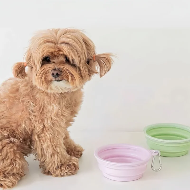 Dog Pet Folding Silicone Bowl 350ml/650ml Outdoor Travel Foldable Portable Cat Food Water Container Feeding Tray Bowls