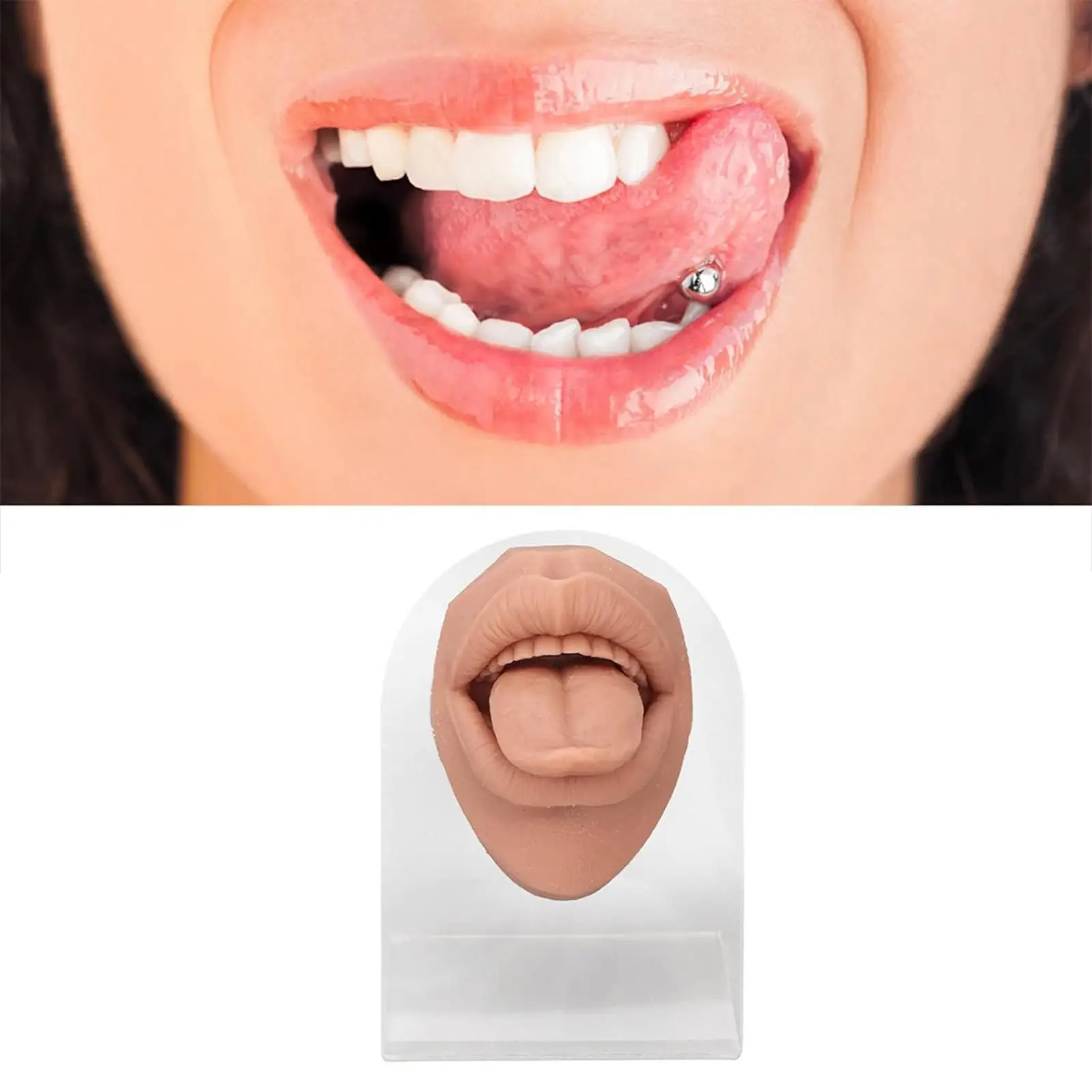 

Human Mouth Tongue Model Display Stand 3D Silicone Realistic Practice Tool for Piercing and Learning