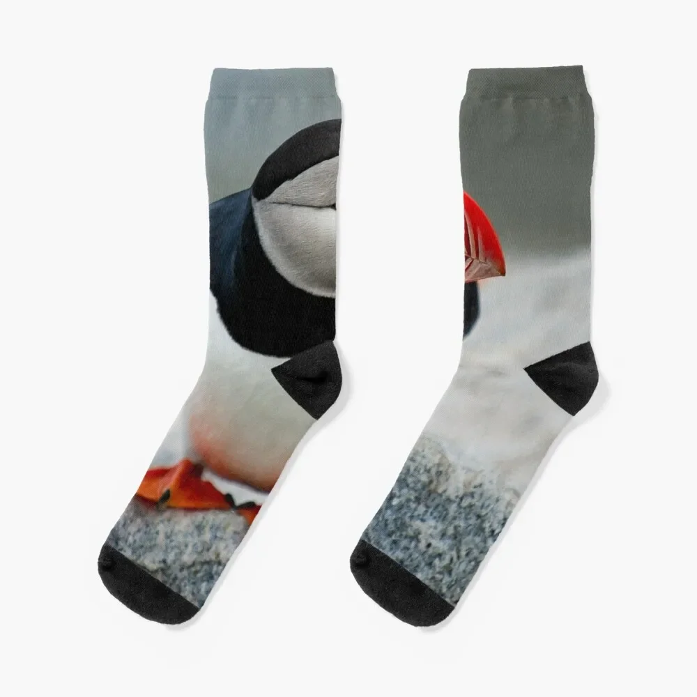 

Puffin Socks anti slip football cool crazy aesthetic Socks Woman Men's