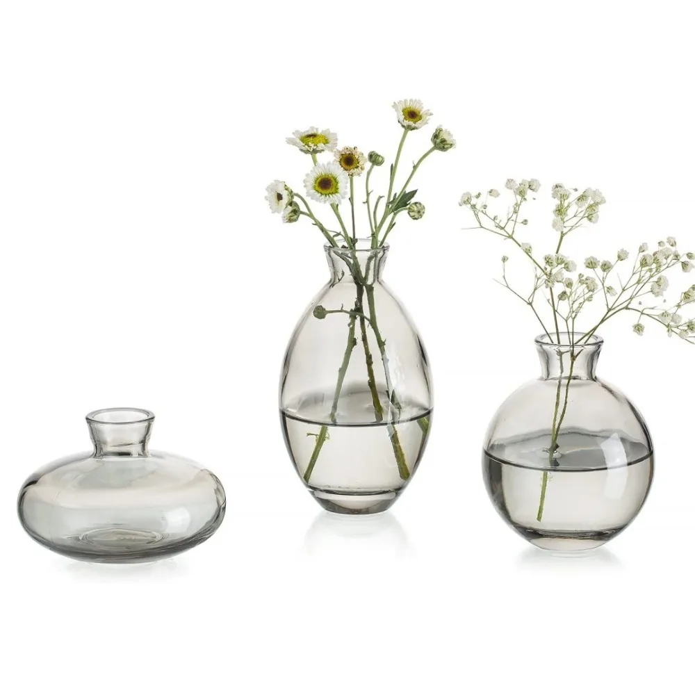 Transparent Mini Flower Vase Home Decoration Glass Hydroponic Plant Bottle Small Desktop Flower Arrangement Pot Living Room