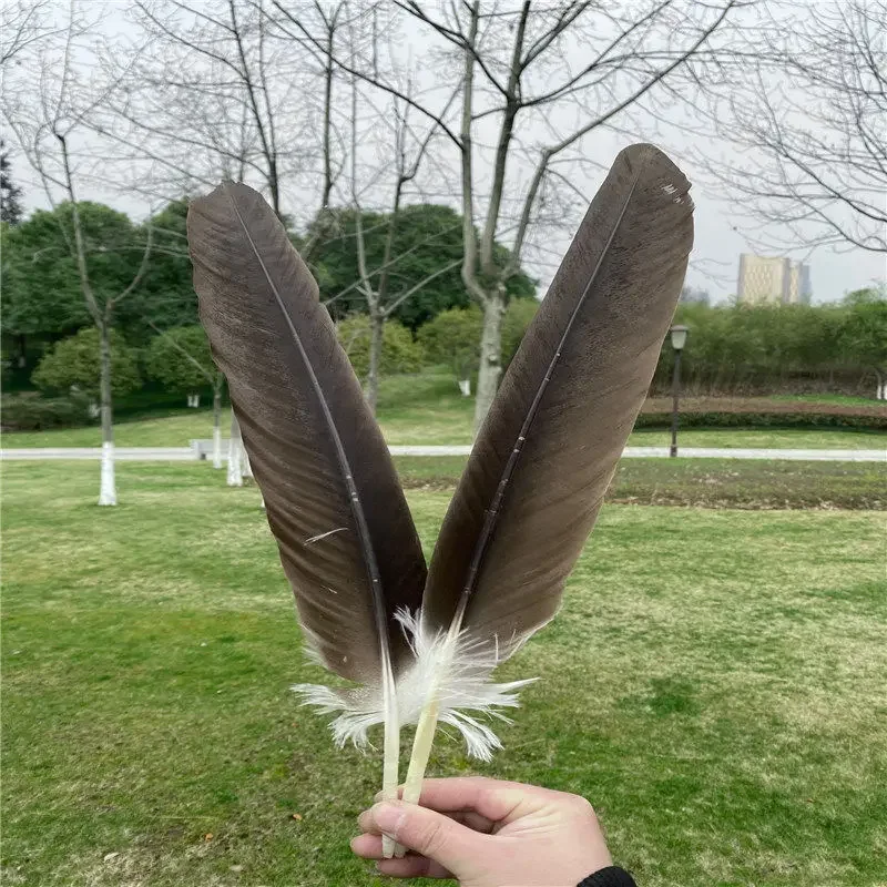 1PC Rare Feather Natural Big Feather Arrow Horse Eagle Tail Hair DIY Exorcism Town House Stage Prop Decoration