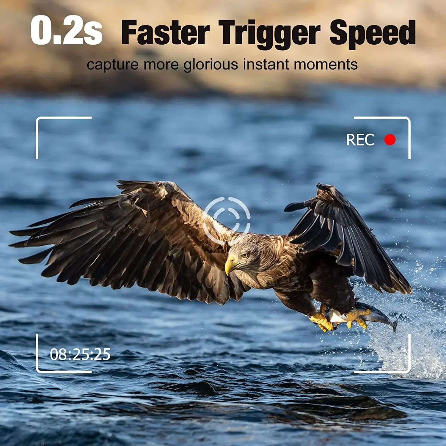 HC-880Pro 4G Wildkamera 30MP 2K Auflösung Nachtsicht Jagd- und Wildtier-Überwachungskamera 120 Grad Sichtfeld – Detail 6