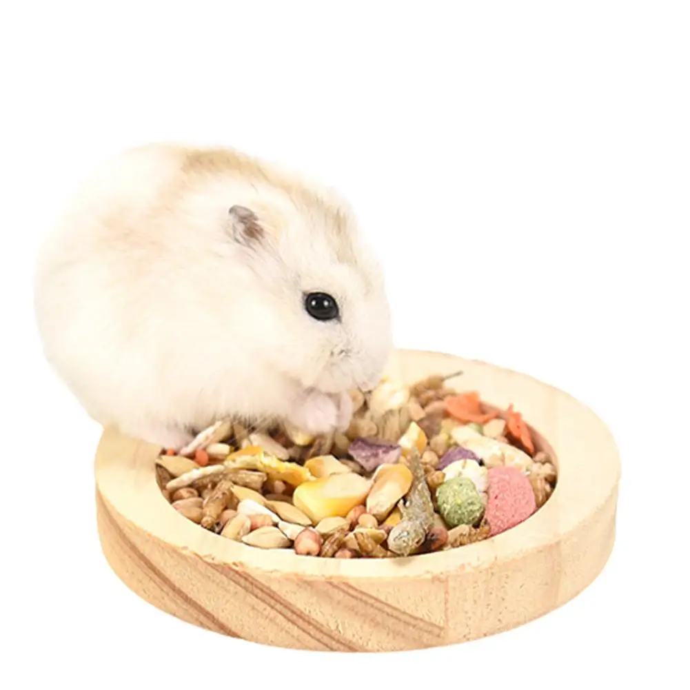 Small Pet Round Food Bowl Anti-turning Natural Wooden Feeding Bowl Landscaping Supplies For Squirrel Hedgehog Hamster wholesale