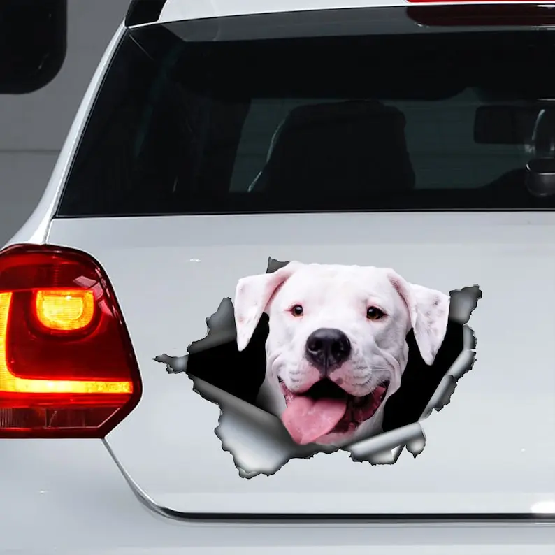 Calcomanía Dogo argentina, imán Dogo Argentino, calcomanía para portátil