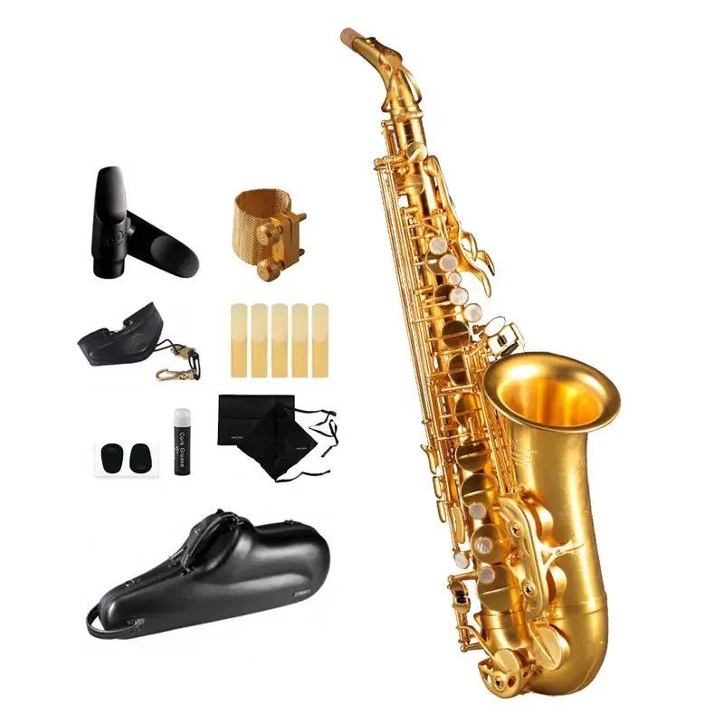 French Origin Popular Grade Classic Structure 24K Gold Lacquer RSA-X10-II Alto Saxophone