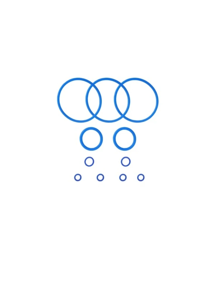 Seal Ring Set