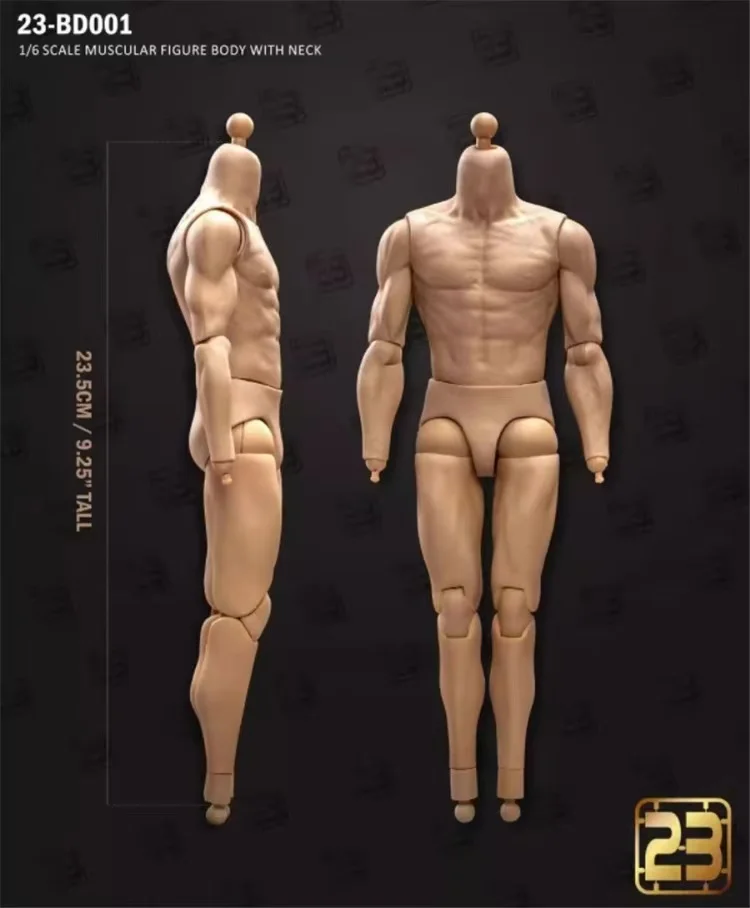 23TOYS 1/6 23-BD001/003/004/005/006/002 1/6 Scale Male Soldier Standard Strong Muscle Joint Articulate Body 12" Action Figure