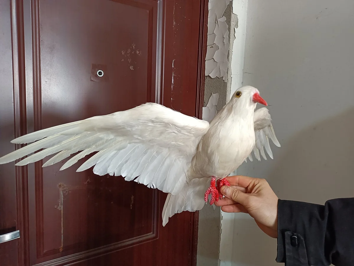 big real life wings pigeon model foam&feather white dove bird about 45x70cm xf2898