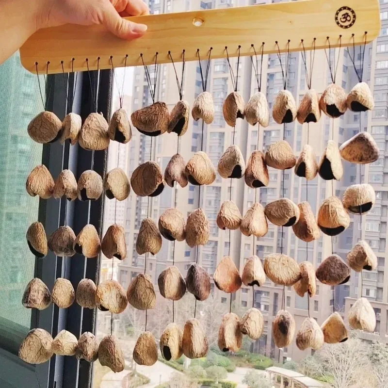 Plant Nut Shell Bell Natural Outdoor Wind Chimes Sound Healing Meditation Hand Musical Bells Diapason Percussion Instruments