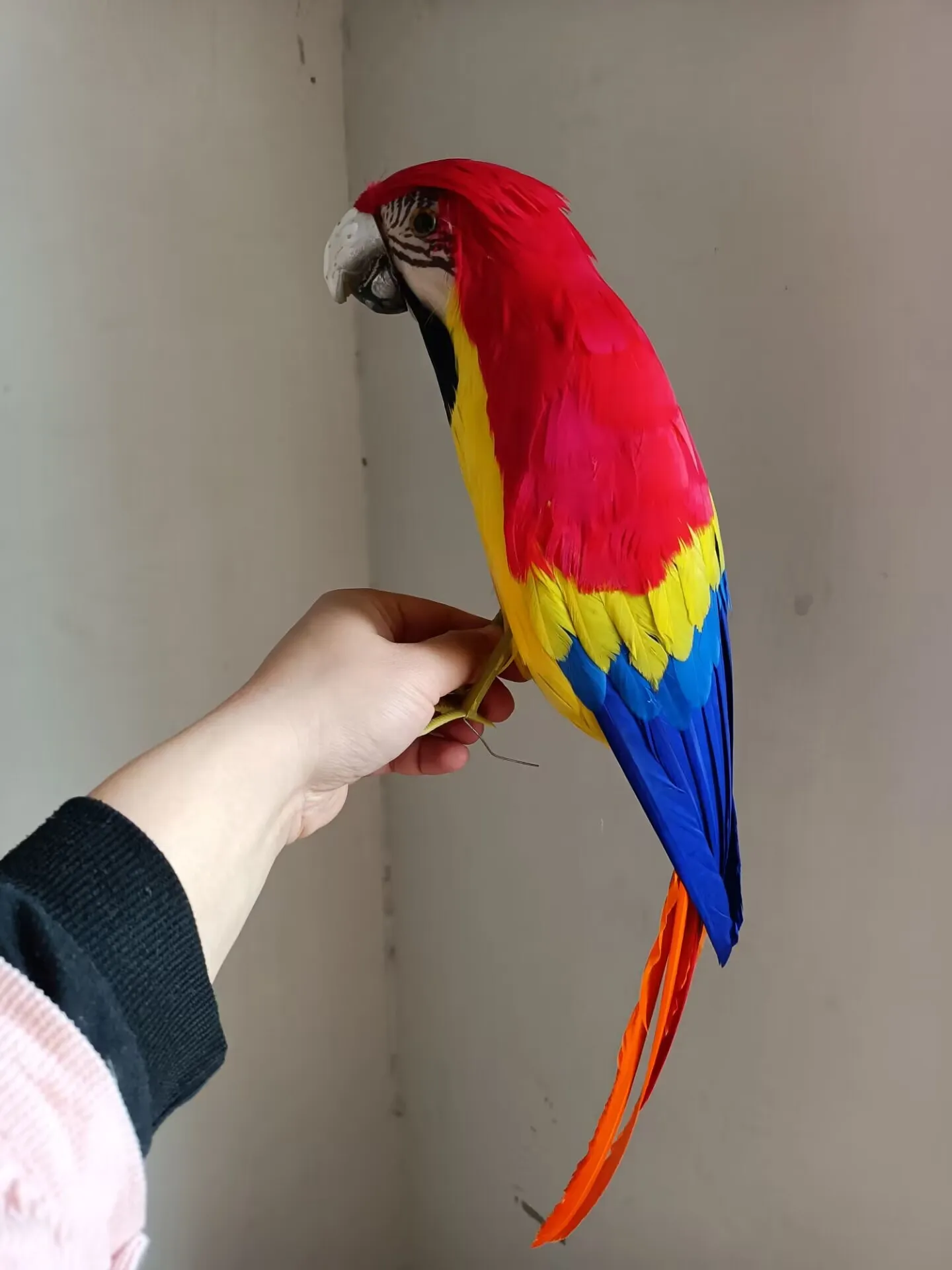 

real life parrot model foam&feather simulation red&blue parrot bird gift about 42cm xf2518