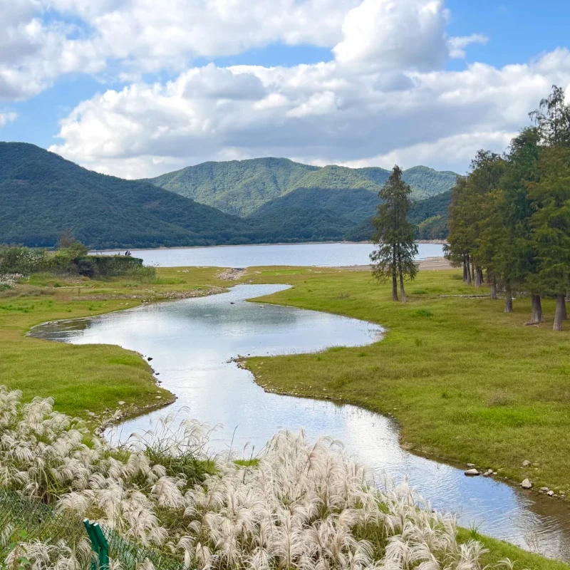 

JX PDI-5513MG 13 кг цифровой сервопривод с высоким крутящим моментом 2BB металлическая шестерня для 1/10 1/18 RC автомобиля самолет робот лодка