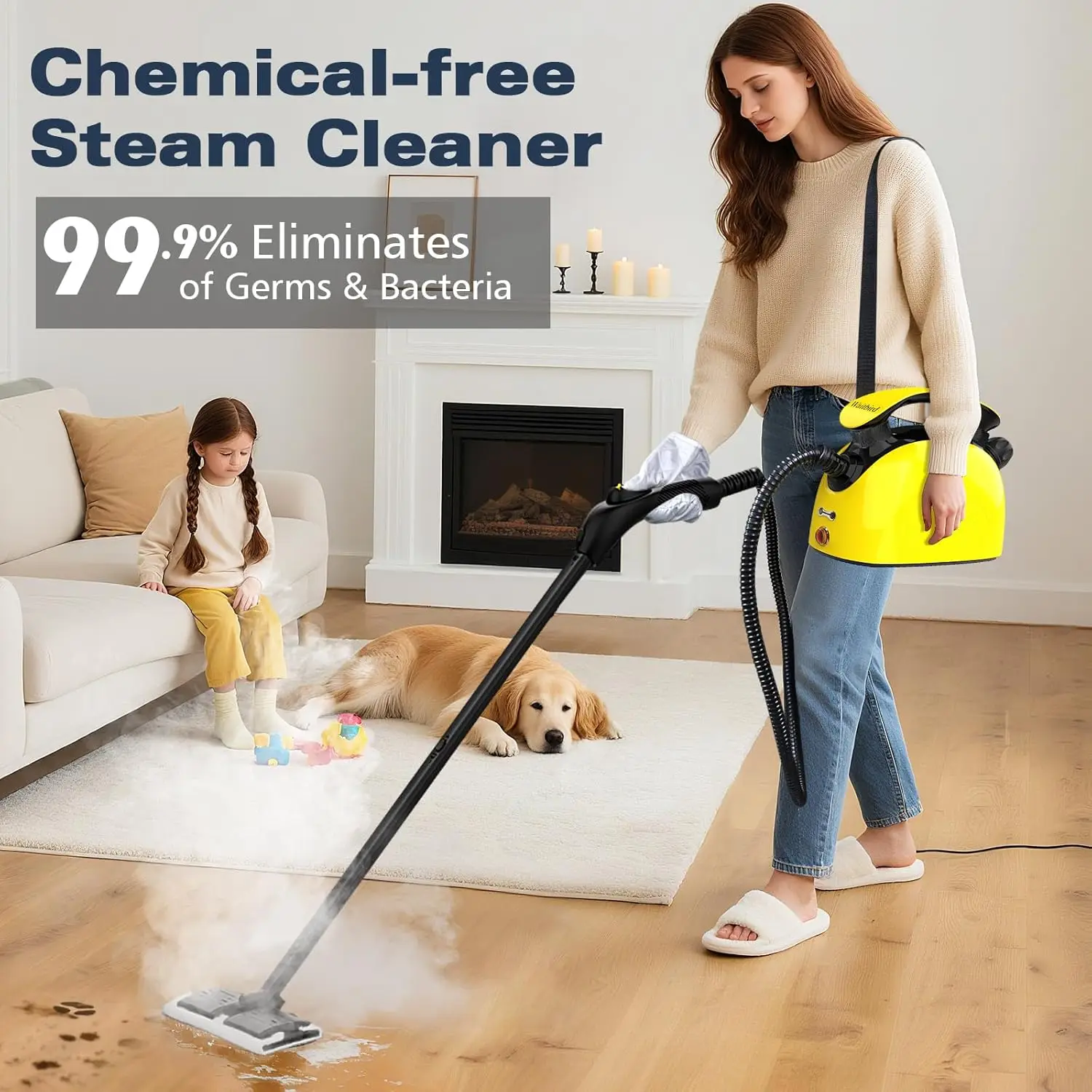 Steam Cleaner, Mult…