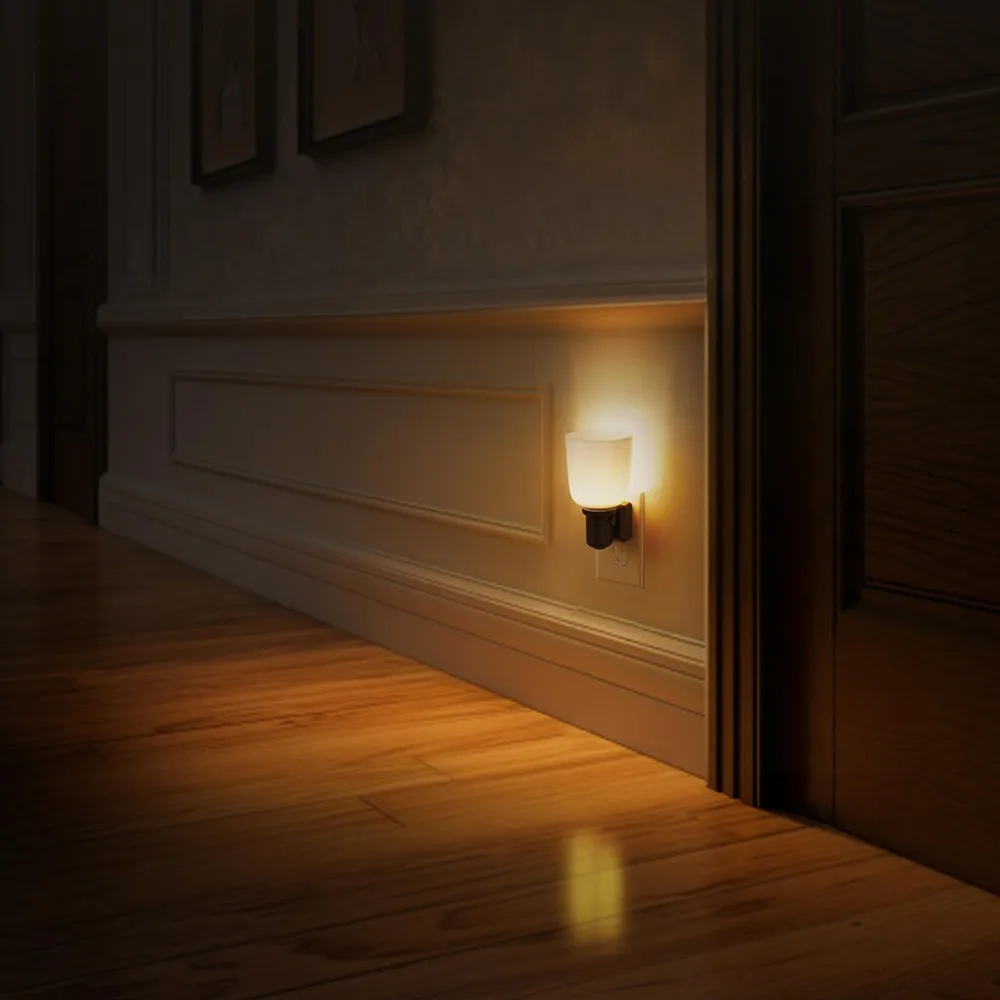 Rustic Farmhouse Vintage Plug-In Night Light, Dimmable 0-100LM 3000K Warm White & Dusk-to-Dawn Sensor for Indoor Use