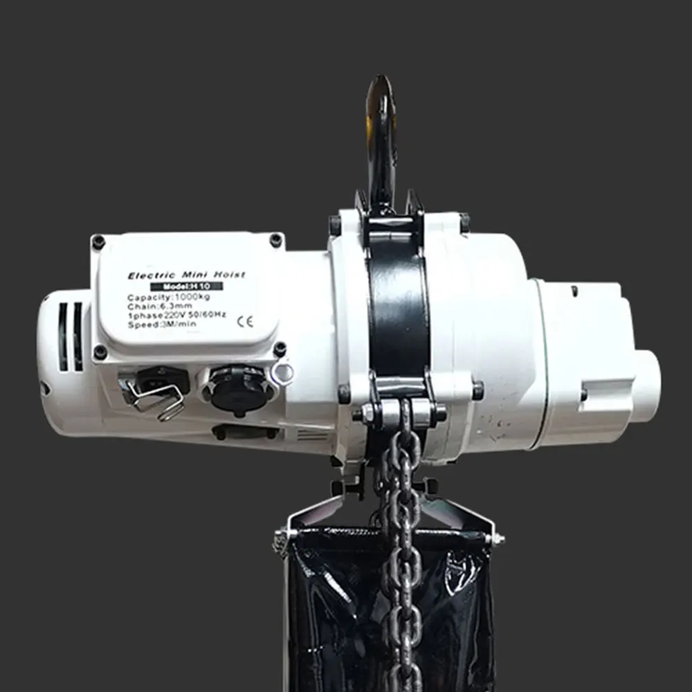 Treuil à chaîne électrique pour grue lourde, capacité de charge de 1 t1000 kg, monte-charge pour atelier, 220V