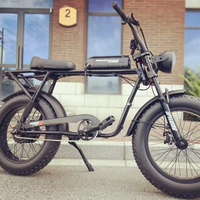 

Ready Shipment Electric Mountain Bike with Max Promax Motor 26 4 0 Fat Tire Integrated Wall Frame Power Battery Fun Charging Hub