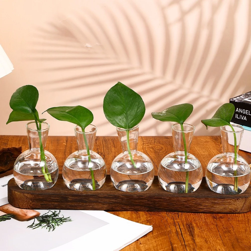 Moderne Glas-Pflanzenvase Terrarium mit Holztablett Desktop-Pflanzenvermehrungsstation Hydroponische Vase Wohndekor Pflanzenliebhaber