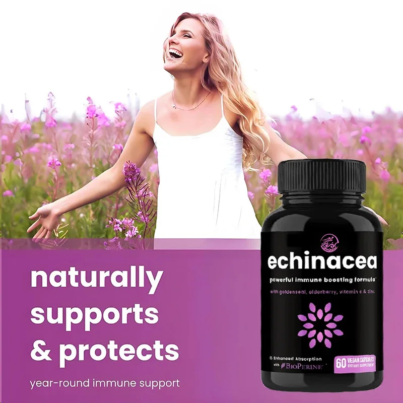 Echinacea extract elderberry, organic Ganoderma lucidum, ginger, vitamin C, and zinc immune system enhancing health capsules