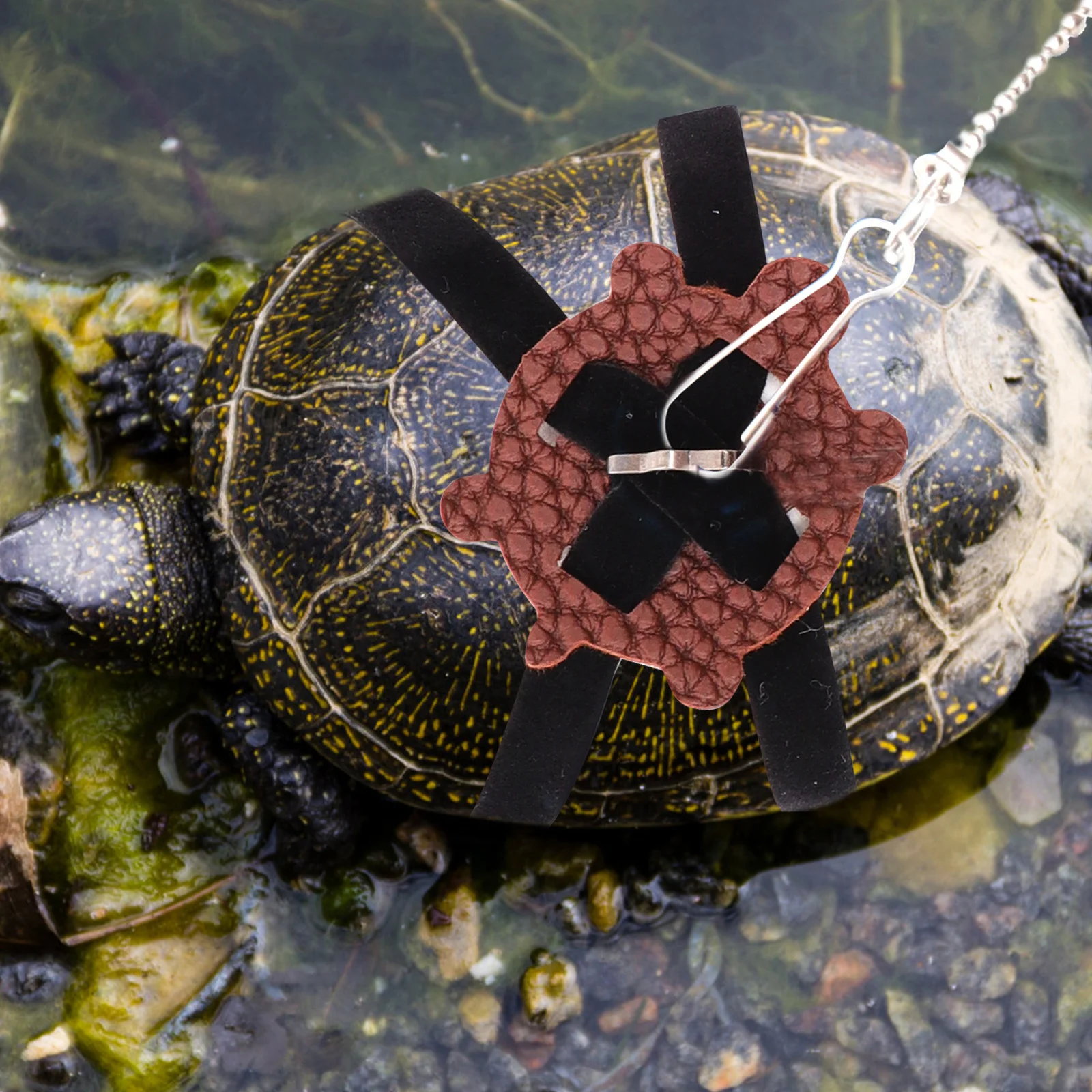 

Turtle Leash Breathable Sturdy Materials Adjustable Design Prevent Pet Loss Practical Tool Outdoor Activities Tortoise Walking