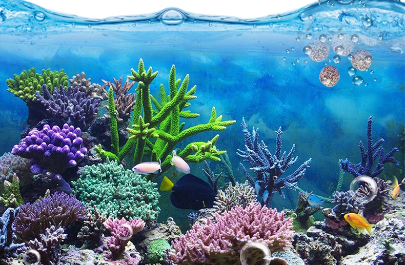 مجموعة وسائط الفلتر الحيوي الفاخر من WAJABABY - أنابيب سيراميك مسامية وكرات كوارتز وحلقات حيوية لحد أقصى نمو البكتيريا في حوض السمك #6