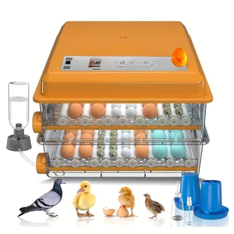 New Dual Power 12V/220V Automatic Small-Sized Chicken Egg Incubator ABS Material 98% Hatching Rate Bird Goose Duck Reptile