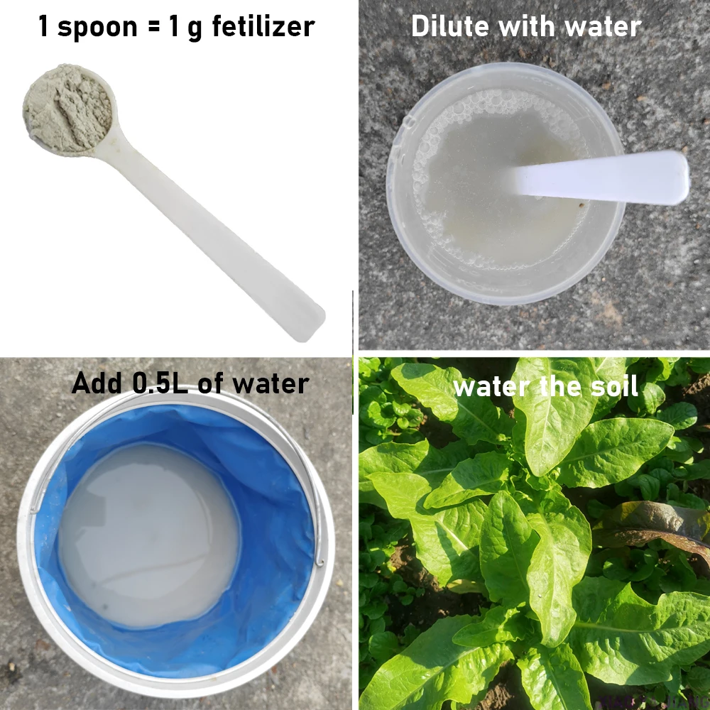 30 جرام سماد ميكروبي آمن للبيئة قابل للذوبان في الماء يحمي النباتات الأسمدة الحيوية الطبيعية للزراعة المستدامة