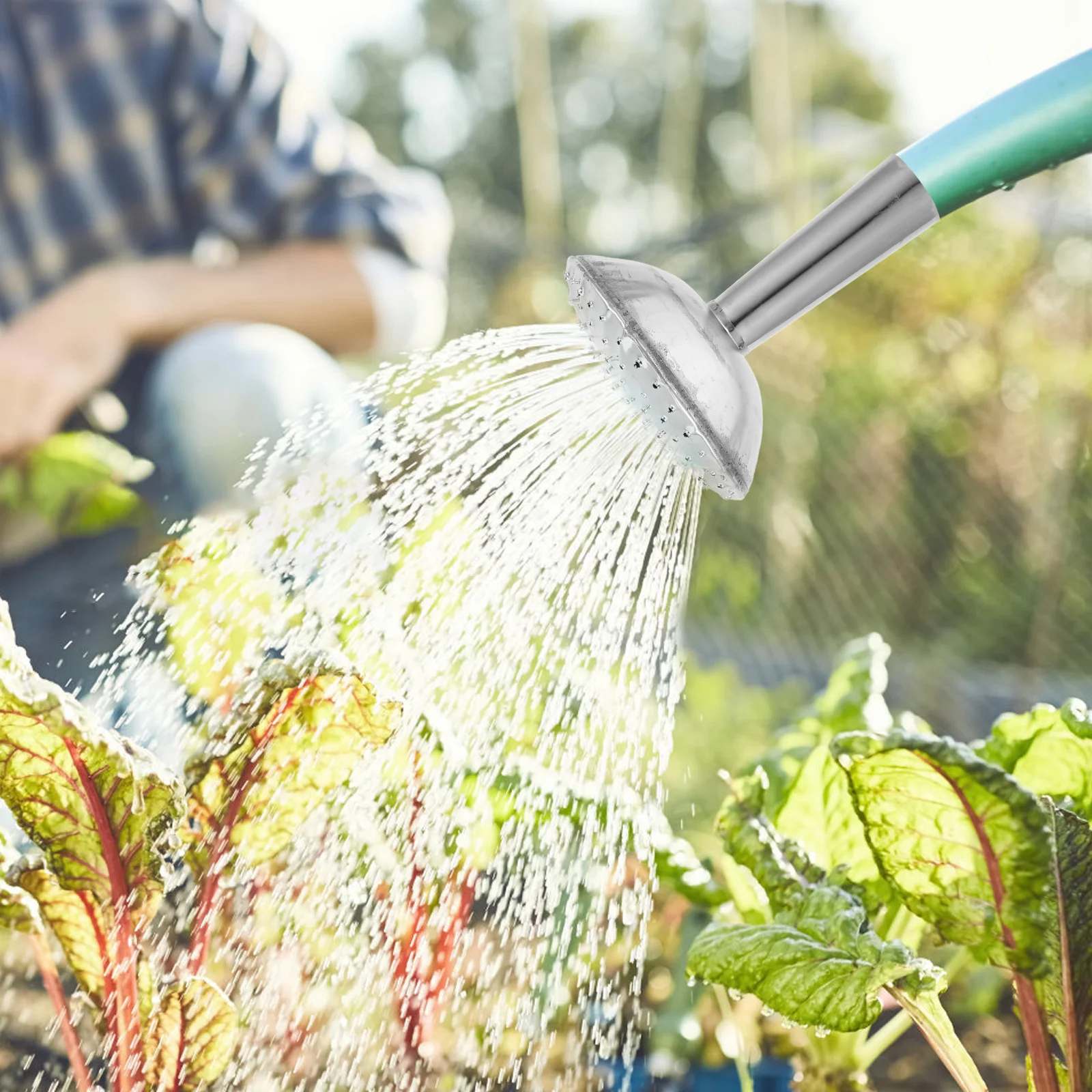 

Stainless Steel Watering Can Nozzle Flow Control Replacement for Indoor Outdoor Plant Watering Hose Sprinkler Head