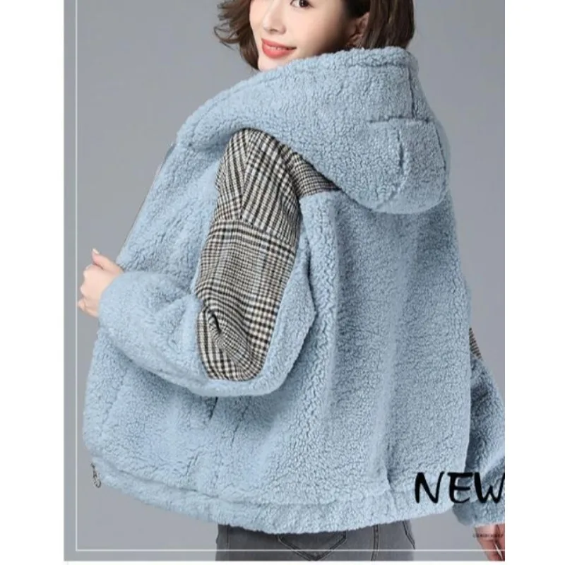 سترة نسائية للخريف والشتاء تقليد خروف قطيفة جديدة سميكة ومخملية سترة دافئة للنساء #6