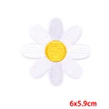 PE8888CT