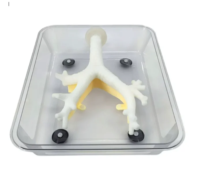 Bronchoscopy Training Model, Fiberoptic Bronchoscopy Practice Simulator with Secondary Branches, Soft Non-Damaging