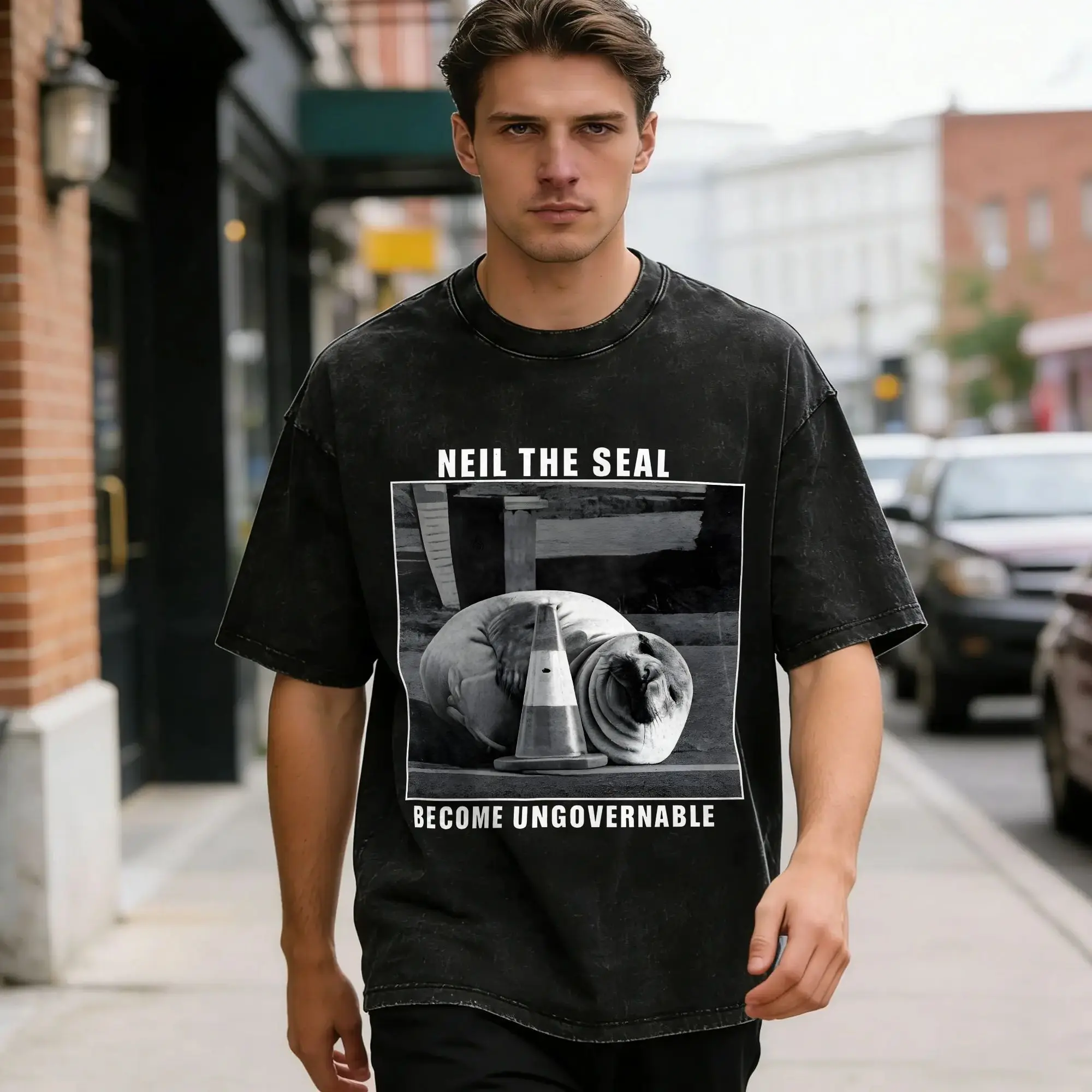 Neil the Seal  Washed T Shirt Men  Streetwear Casual T-Shirts Beach O Neck Harajuku Tee Shirt Simple Oversize Clothes