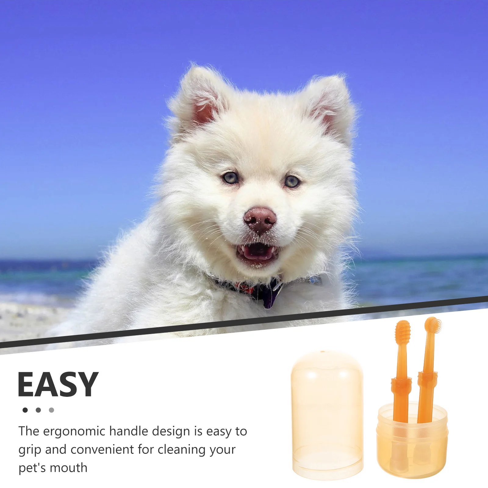 

Pet Toothbrush Dog Dental Washable Toothbrushes Cleaning Products Small Toothpaste