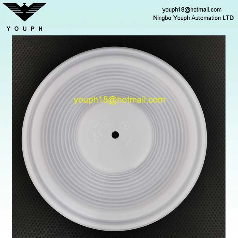 08-1010-55 PTFE Diaphragm fit for Wilden 2