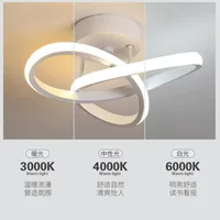 Modern LED Aisle Ceiling Lights Nodic Home Lighting Led Surface Mounted for Bedroom Living Room Corridor Light 3-color lighting 2