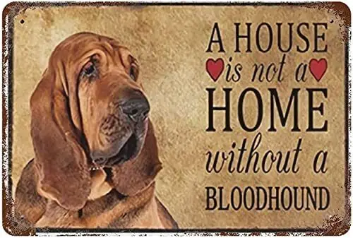 Retro Metal Tin Sign 8 X 12 Inches Bloodhound Pet Dogs Home Without The Blood... sign