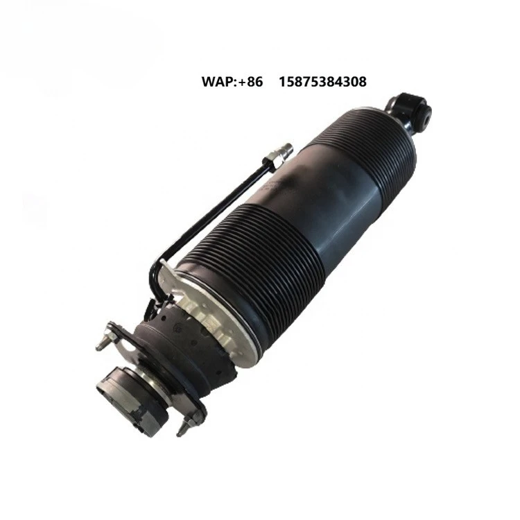 

New Rear Suspension Shock Absorber for SL-Class W230 R230 (2001-2011)-CYS Brand 1 Year Warranty