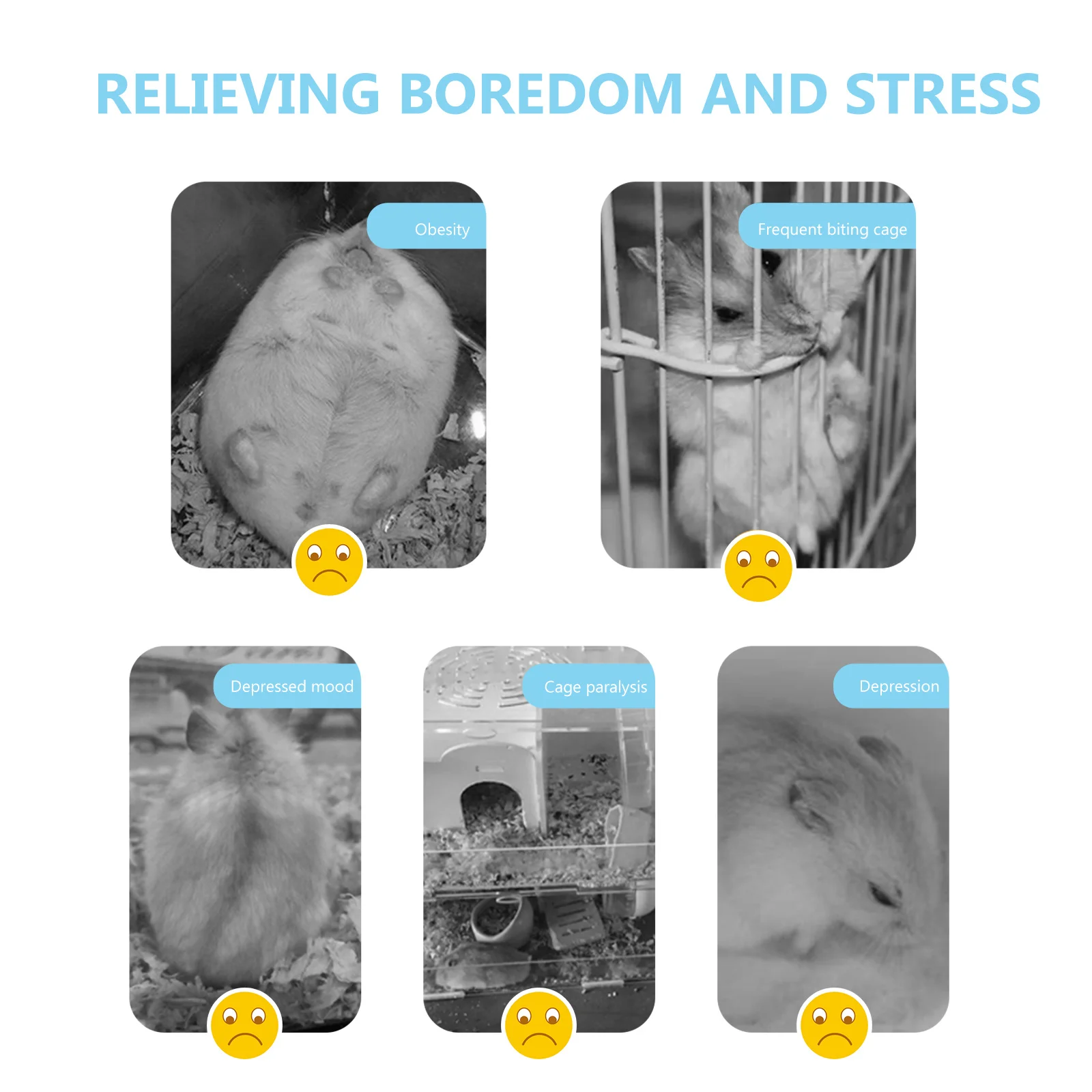 

Tunnel Plastic Sand For Hamsters Pet Cage Accessory Hamster Shower Box Hamster Bath Sand Bath For Hamsters Tub