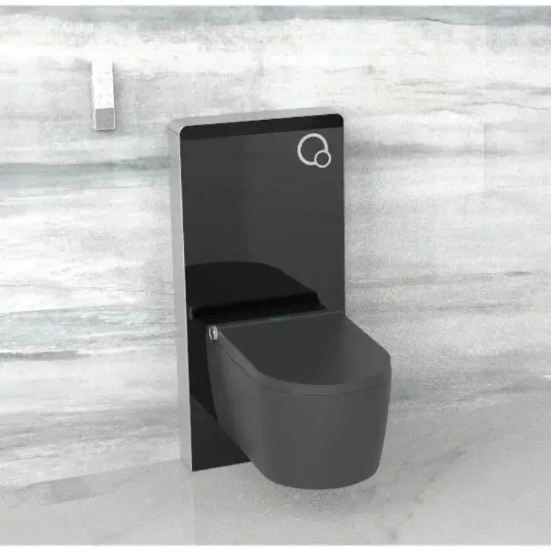 

Oceanwell Luxury Wall Hung Matt Black Colour Smart Toilet for European