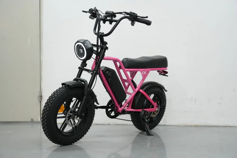 16inch Removable Lithium Battery 36V 350W Rear Hub Brushless Electric Bicycle Ride Comfortable EBike Support Customized Fat Tire