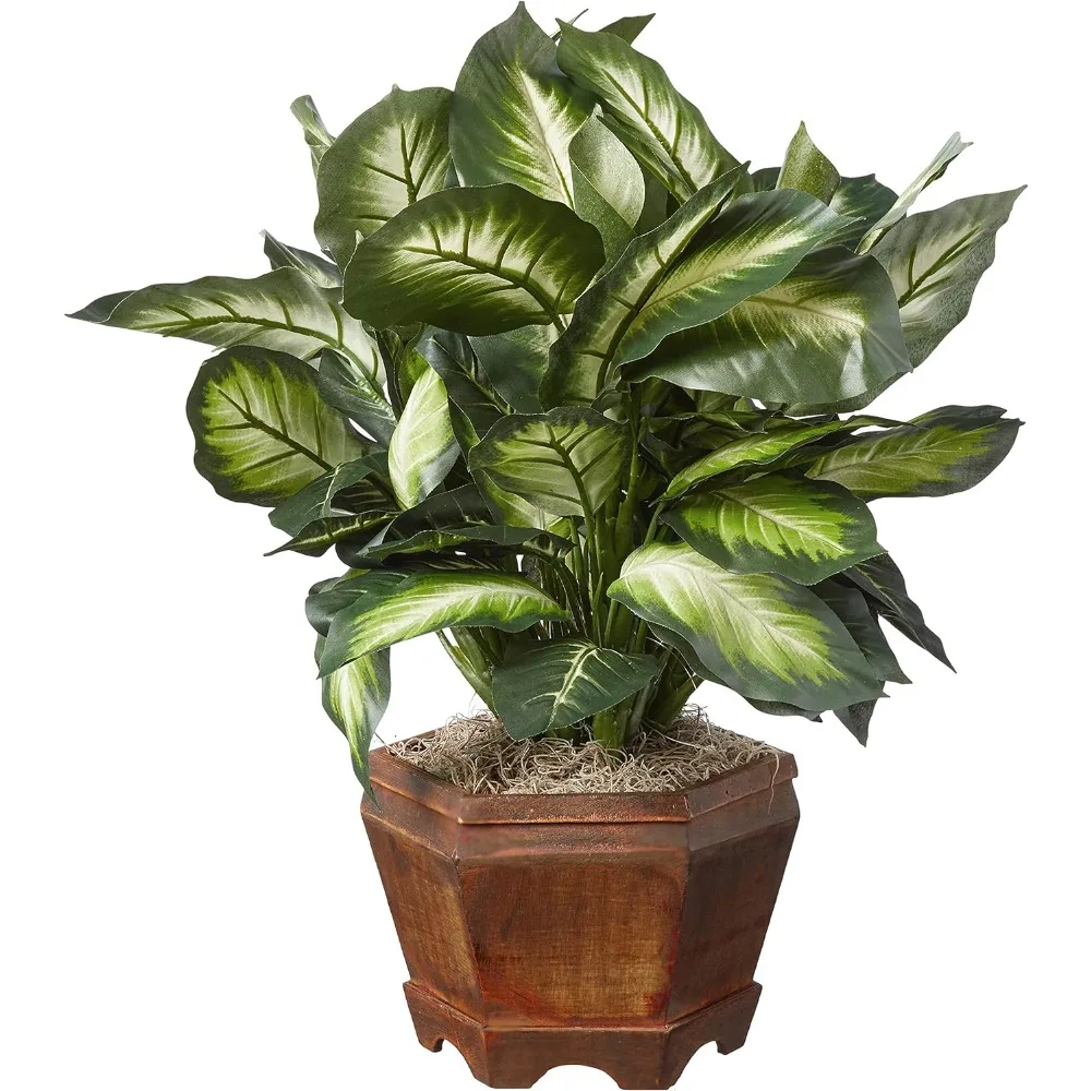 Nearly Natural 22IN Artificial Triple Golden Dieffenbachia Plant with Decorative Wood Planter, Faux Plant for Indoor Home Décor