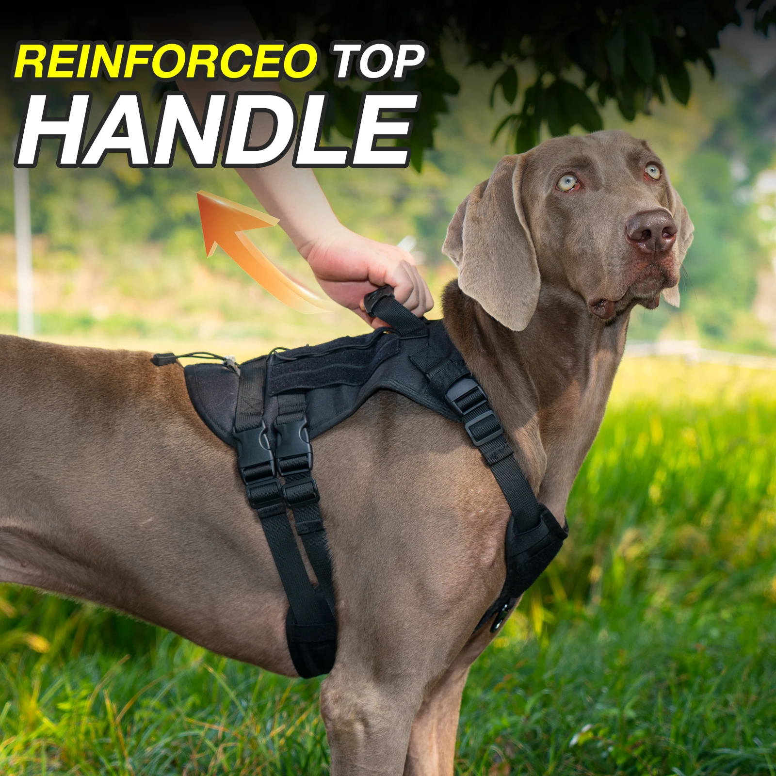 Thumbnail 3 - #16 Latest Dog Seat Belt Harness Offers