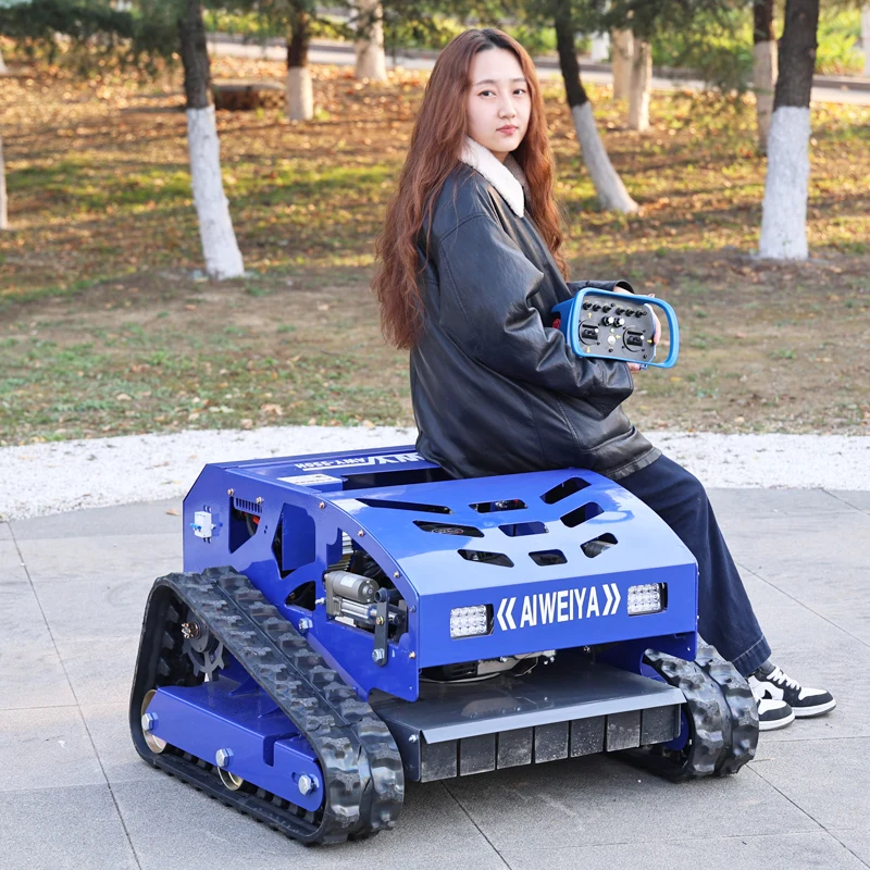 

Customized Factory price: Self owned lawn mower with one click start, 550mm cutting width, efficient mowing