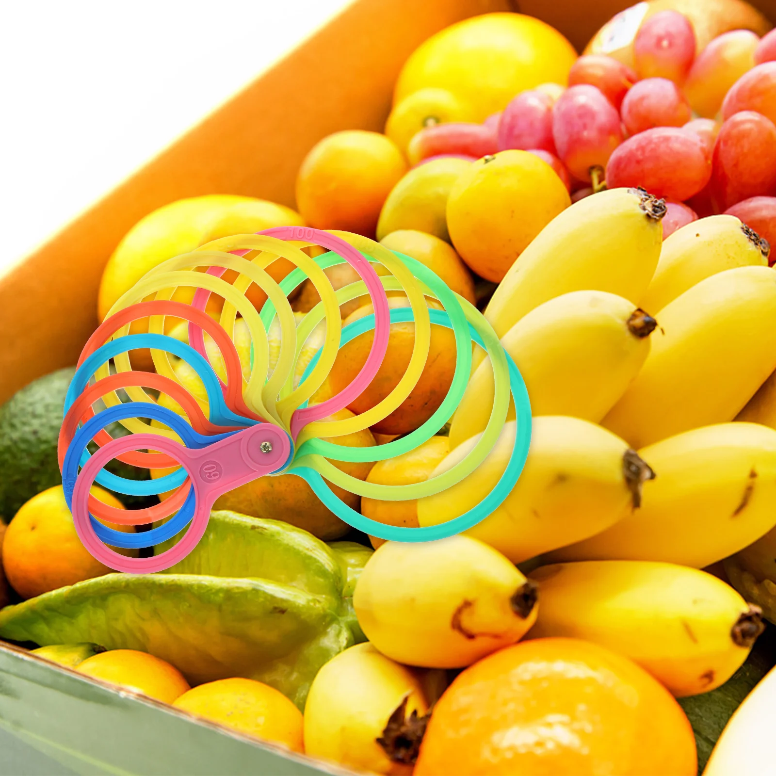 

Fruit Circle Measurement Device Plastic Diameter Measuring Lap Fruits Rings Universal Tool for