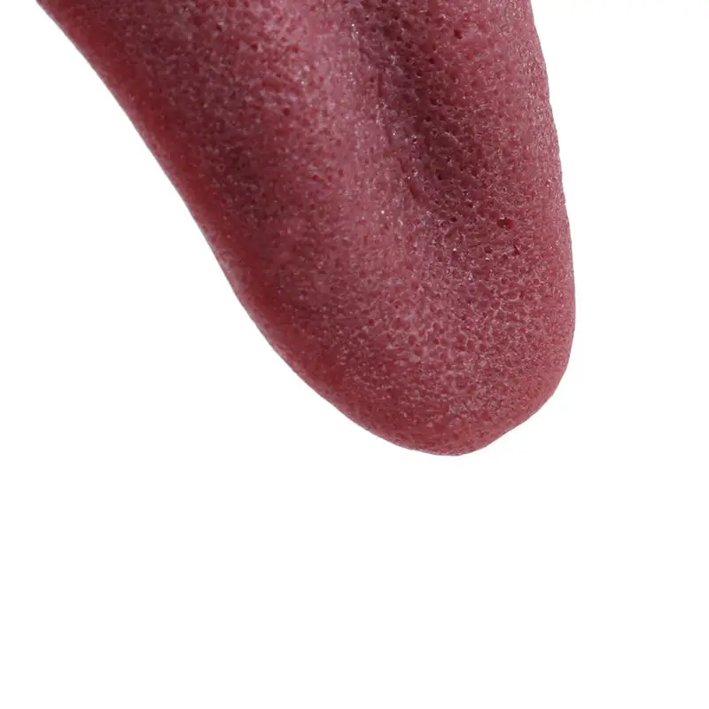 Realistic Fake Tongue Prank Toy Simulation Piercing Props Funny Magic Trick Toys For Halloween April Fool Party